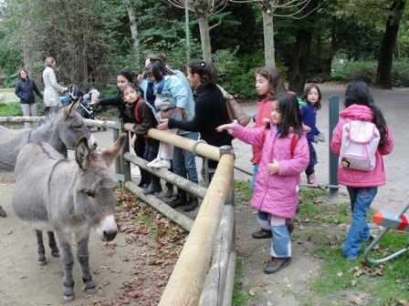 zoo-besuch